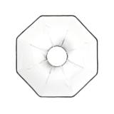 PROF101220-LANG2-0272fb8f-873a-4570-89df-87063026c3b9