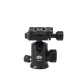 SIRG10X-LANG2-029ef36c-e4e9-442e-964c-1170ccba35d1