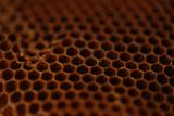 CANDRF8520-LANG2-05e7b7b2-a20c-4cb4-8444-5aff7341f868