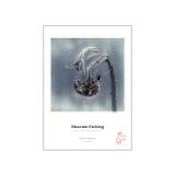 HAH10641651-LANG2-07d0dd2b-1105-4165-850f-5488914f7ff6