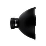 PROF100624-LANG2-0c86387b-2445-4fa7-9c73-d08e6a3c8421