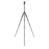 SIR114199-LANG2-17e0a919-7223-4b3a-8206-8b6f9e2c3ddd