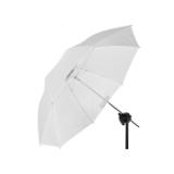 PROF100976-LANG2-1b8fd594-43ef-47fb-8cc0-4c8436ee3b26