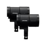 PROF901194-LANG2-1b97c8bd-26e9-489f-b374-532060b8945d