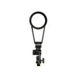 PROF101130-LANG2-205ef02d-6ada-4540-bffd-fec967deb705