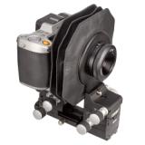 CAM99010883-LANG2-32a5a865-f185-4217-9afa-4fa9ca25260c