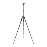 SIR114197-LANG2-370a7c61-2c7e-4e8e-b0be-0fa05d52a921