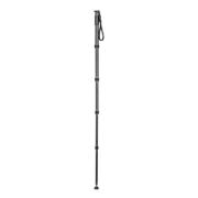 GITZO MONOPOD EXACT GM4552L CARBON SERIE 4