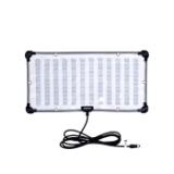 AMARANF21X-LANG2-41ae0f54-fb32-4476-96fc-4f6e17ef1cc3