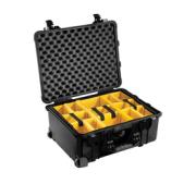 PELI 1560 PROTECTOR CASE (DIVIDERS)