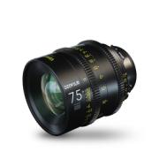 DZO VESPID FF KIT(16,25,35,50,75,100,125,90) PL/EF