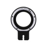 CAM99070716-LANG2-6e6c085b-c702-4ea3-b44f-6f4540ffa3c5