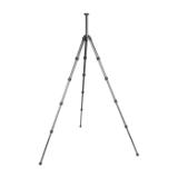 SIR115374-LANG2-71b39084-faea-4164-ac6d-fbe7d60ead3f