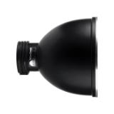 PROF100711-LANG2-727ff096-9cc5-485b-a913-f93bb53ce4fc