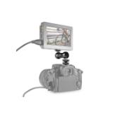 SR112924-LANG2-79542644-1f1d-437e-8181-ac60258076b0