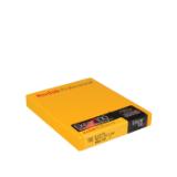 KOD109843-LANG2-7efe9363-bbb6-4916-bd09-a37a2ca903cb