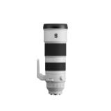 SONSEL200600G-LANG2-962d6cca-bf44-47cc-9b21-17418f392a9f