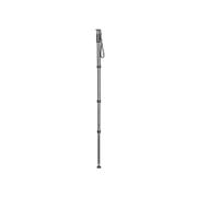 GITZO MONOPOD EXACT GM4542 CARBON SERIE 4