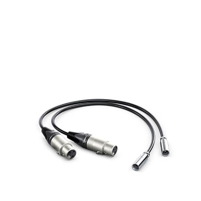 BLACKMAGIC 2X MINI XLR MALE - XLR FEMALE CABLE