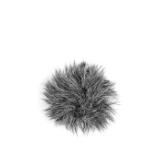 SAR110441-LANG2-b4aea0c2-729e-4b1d-9583-780fc70ddebc