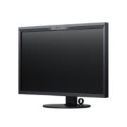 EIZO 31