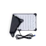 AMARANF21X-LANG2-bde5e23f-3fe9-4be4-8459-a33651fb21b0