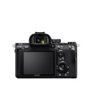 RENTAL50881-LANG2-c8cc5a6e-a709-49ad-840d-9fbf5c2be53e