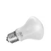 ELINCHROM 23002 LEUCI PILOT PÆRE 100W/196V