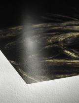 HAH10641660-LANG2-d278c179-8b09-4d05-b206-ce6d20fdf95c