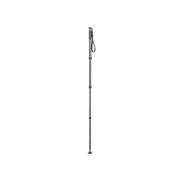 GITZO MONOPOD EXACT GM2542 CARBON SERIE 2