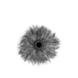 SAR110441-LANG2-e5cad86e-f8c7-4e6f-9a63-c6ac5abc545d