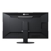 EIZO 31