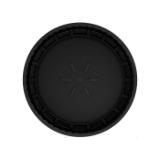 PROF100700-LANG2-f7d31e4c-8664-4303-9fb5-9595e38b0c6c