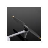 DJI489563-LANG2-f81fd7b8-41c0-4a67-9e3c-9caf2549aa79