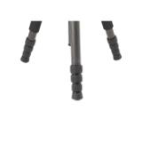 SIRR2204-LANG2-fa9ee4fe-441a-407c-966a-56d7155b491d