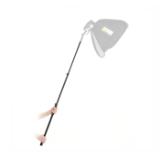 LAS2452-LANG2-fd514381-b876-45b6-ae08-9c072534216f